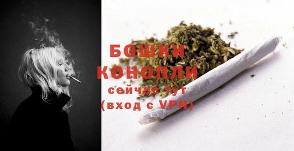 прущие крисы Няндома