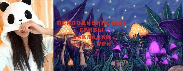 шишки Нягань