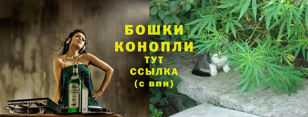шишки Нягань