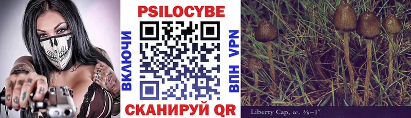 OMG маркетплейс  Подпорожье  Псилоцибиновые грибы прущие грибы  купить наркоту 