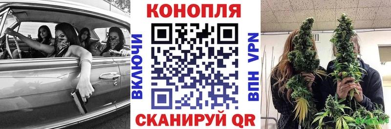 где купить наркотик  Подпорожье  ОМГ ОМГ как войти  Бошки Шишки OG Kush 